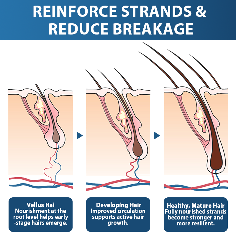 🇺🇸🍁Developed by Trichologists: 𝐑𝐨𝐥𝐢𝐦𝐞𝐲® 𝐒𝐓𝐄𝐌 𝐂𝐞𝐥𝐥 𝐇𝐚𝐢𝐫 𝐂𝐲𝐜𝐥𝐞 𝐑𝐨𝐥𝐥𝐞𝐫 – Instantly Stops Hair Loss & Promotes Real Regrowth (🔥Up to 80% OFF🔥)