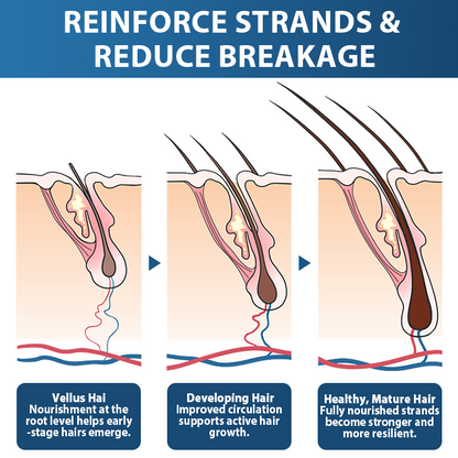 🇺🇸🍁Developed by Trichologists: 𝐑𝐨𝐥𝐢𝐦𝐞𝐲® 𝐒𝐓𝐄𝐌 𝐂𝐞𝐥𝐥 𝐇𝐚𝐢𝐫 𝐂𝐲𝐜𝐥𝐞 𝐑𝐨𝐥𝐥𝐞𝐫 – Instantly Stops Hair Loss & Promotes Real Regrowth (🔥Up to 80% OFF🔥)